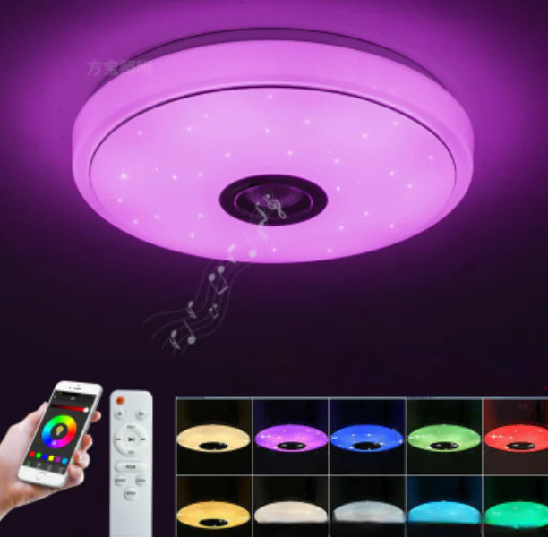 LED Ceiling Light