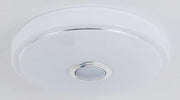 LED Ceiling Light